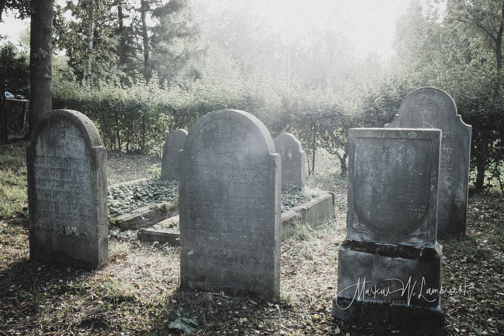 Lauenförde, Jüdischer Friedhof